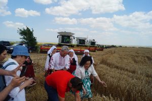 Колаж 2016