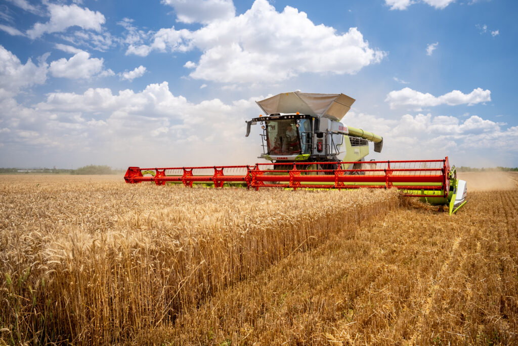 CLAAS LEXION 8800TT