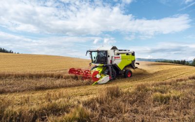 CLAAS EVION