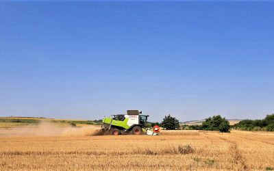 CLAAS TRION 650